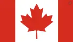CAD flag